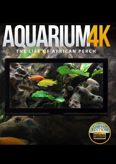 Aquarium 4K