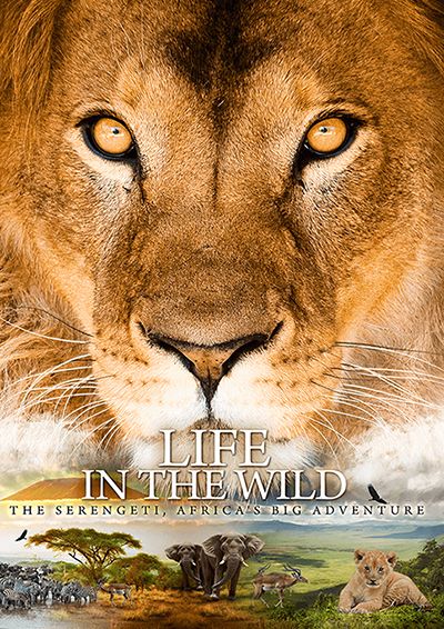 Life in the Wild 3D