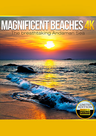 Magnificent Beaches 4K