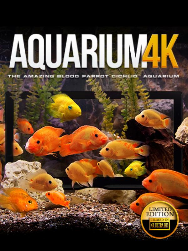 Aquarium 4K