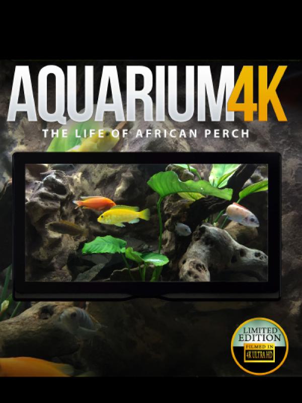 Aquarium 4K