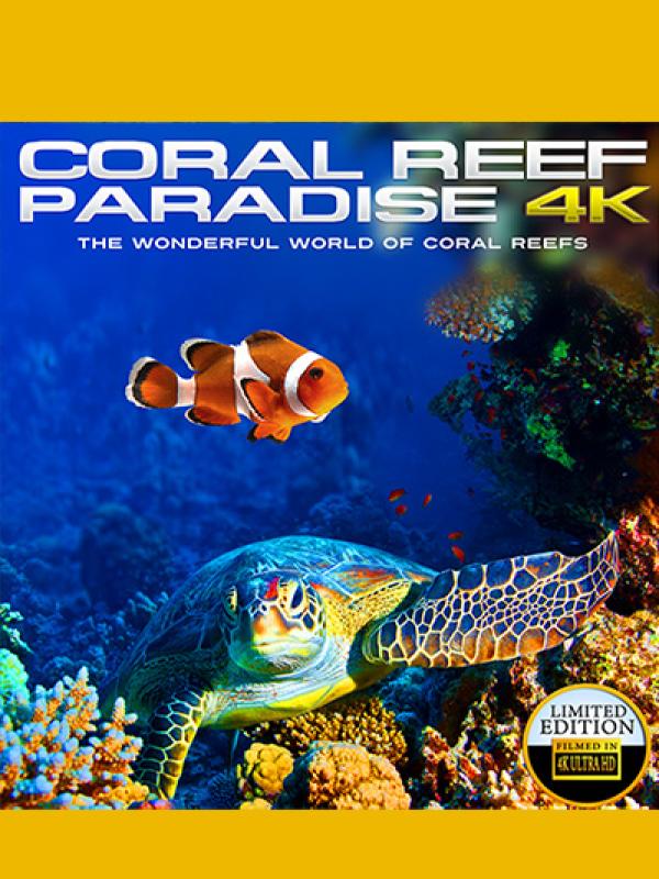 Coral Reef Paradise 4K