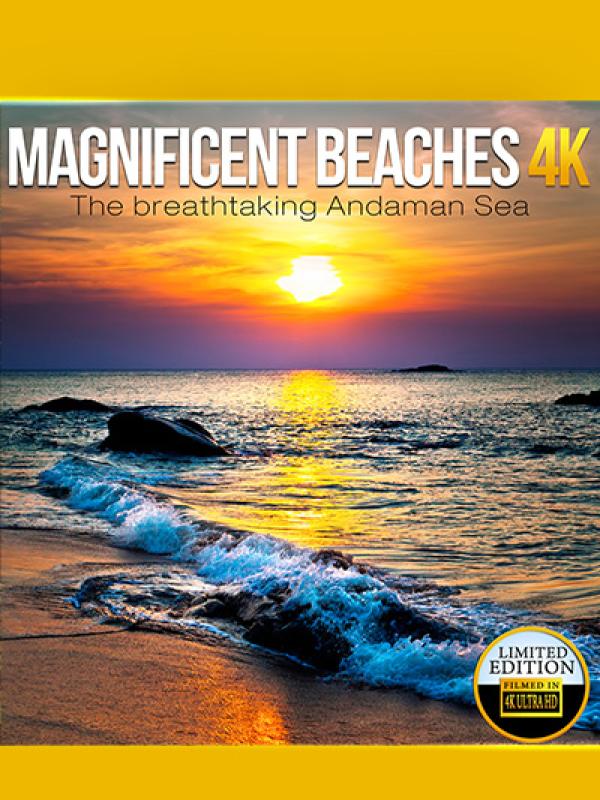 Magnificent Beaches 4K