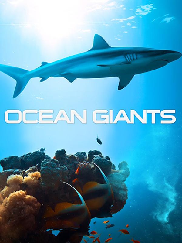 Ocean Giants 3D